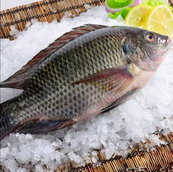 Peixaria L&A Pescados - Qualidade garantida